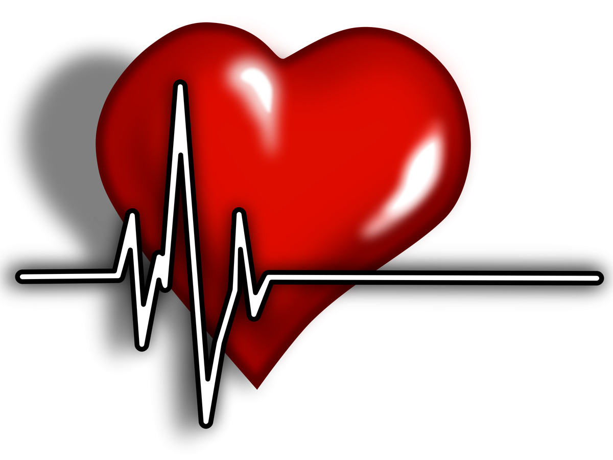 representación de corazón en medicina