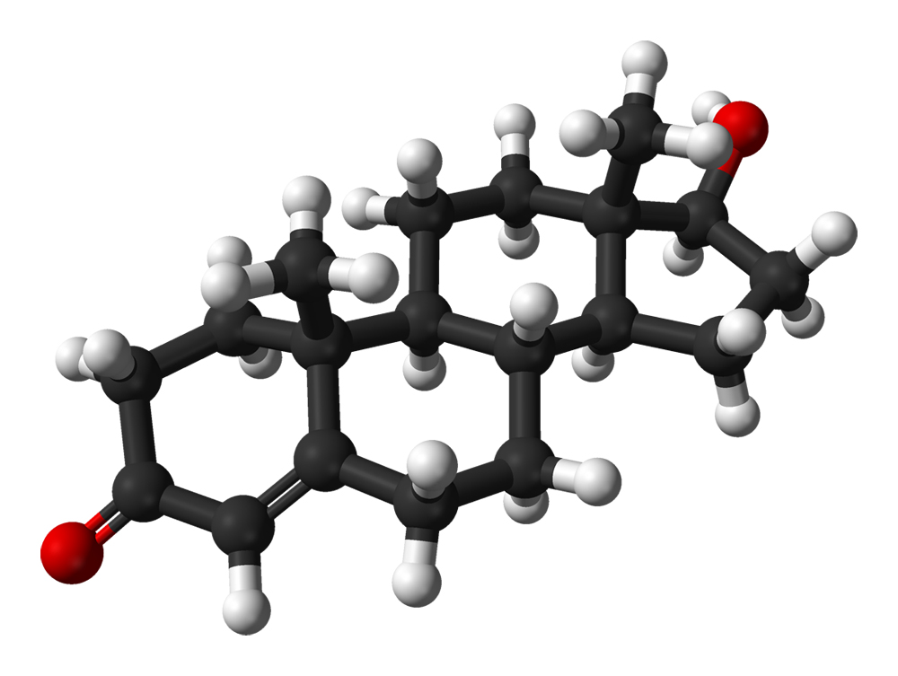 Modelo molecular de la testosterona Autor/a: Ben Mills  Fuente: Benjah-bmm27 / Wikipedia