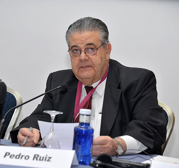 Profesor Pedro Ruiz 