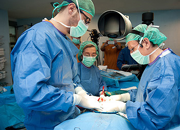 Implante de prótesis hidráulica de pene de tres componentes Fuente: Hospital Universitario de Bellvitge