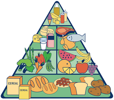 piramide-nutricional