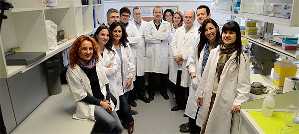Grupo de Medicina Respiratoria del IRB Lleida perteneciente al CIBERES que lidera el doctor Ferran Barbé Fuente: Centro de Investigación Biomédica en Red (CIBER)