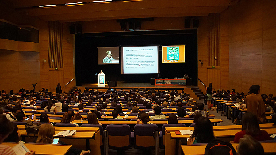 Una sesión del Congreso S.E.N. 2015 Autor/a: Enric Arandes Fuente: E. Arandes / www.farmacosalud.com