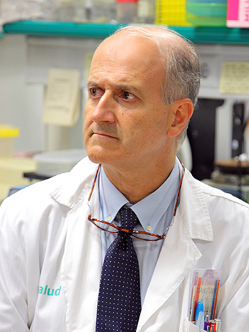 Doctor Fernando Civeira Fuente: Archivo