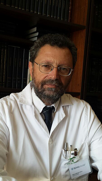 Profesor Pedro Valdivielso Fuente: Prof. Valdivielso