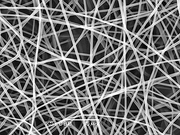 Detalle microscopio del tejido antitumoral  Fuente: Parc Científic de Barcelona / Hospital Sant Joan de Déu /  UPC / Cebiotex
