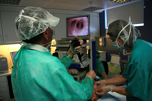 Imagen de uno de los trasplantes experimentales, realizados por un método poco invasivo Fuente: IBB-CSIC/Hospital Clínic