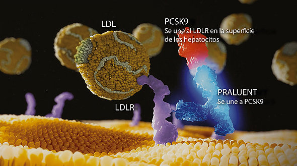 Infografía sobre colesterol LDL y PCSK9 Fuente: Sanofi