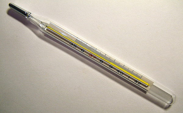Un termómetro clínico de mercurio Autor/a de la imagen: Menchi   Fuente: Wikipedia
