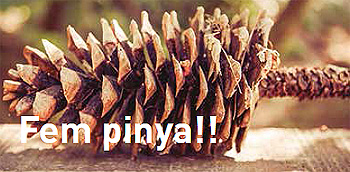 ¡Hay que ser una piña!, eslogan del concurso Fuente: www.historiesdexfumadors.cat