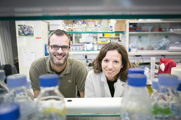 Los investigadores Salvador Aznar Benitah (líder del estudio) y Gloria Pascual (primera autora) en su laboratorio del IRB Barcelona Fuente: M. Minocri, IRB Barcelona