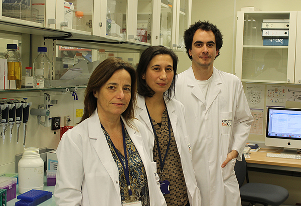 María Luz Martínez Chantar, Teresa Cardoso Delgado e Imanol Zubiete Franco Fuente: Centro de Investigación Biomédica en Red (CIBER) 