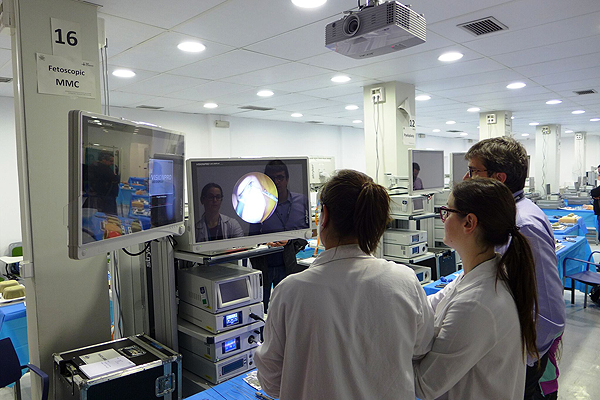Un ejemplo de simulación Fuente: Hospital Universitario Vall d’Hebron