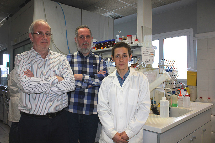 Los investigadores Ramón Martínez Máñez, Félix Sancenón y Cristina de la Torre Fuente: CIBER-BBN / Centro de Investigación Biomédica en Red (CIBER)  