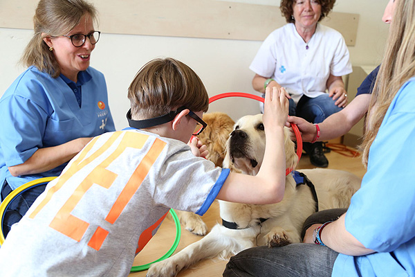 Escena de terapia asistida con perros para afectados de síndrome alcohólico fetal   Fuente: Hospital Vall d’Hebron
