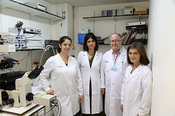 (de izq. a dcha): los investigadores Diana Bou Teen, Marisol Ruiz-Meana, David Garcia-Dorado, y Elisabet Miro-Casas (CIBERCV-VHIR) Fuente: CIBERCV / Centro de Investigación Biomédica en Red (CIBER)
