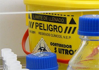 Fuente: www.farmacosalud.com / IMAGEN DE ARCHIVO Gentileza del Centro Nacional de Microbiología. Instituto de Salud Carlos III de Madrid 