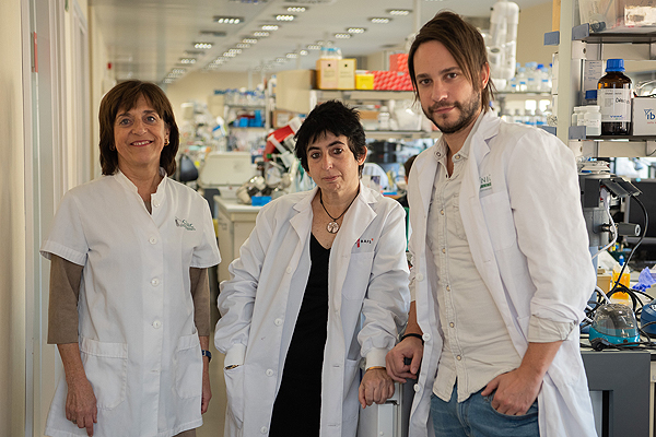 Los investigadores del IDIBAPS / CIBERDEM Anna Novials, Marcelina Parrizas y Carlos Castaño Los investigadores del IDIBAPS / CIBERDEM Anna Novials, Marcelina Parrizas y Carlos Castaño Fuente: CIBERDEM / Centro de Investigación Biomédica en Red (CIBER)