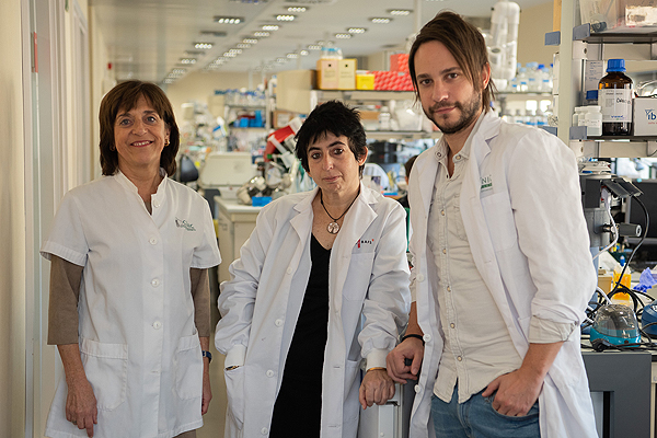 Los investigadores del IDIBAPS / CIBERDEM Anna Novials, Marcelina Parrizas y Carlos Castaño Fuente: CIBERDEM / Centro de Investigación Biomédica en Red (CIBER) 