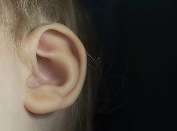 Una oreja de una persona en edad pediátrica Fuente: libreshot.com (free photo)
