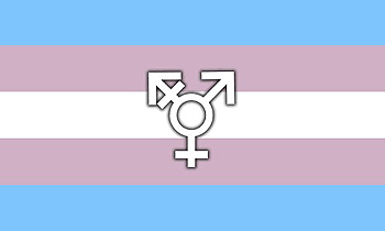 Bandera Trans Autor/a de la imagen: Cecilia cazarez  Fuente: Wikipedia