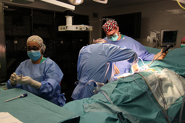 Un momento de una cirugía de trasplante renal Fuente: Hospital del Mar 