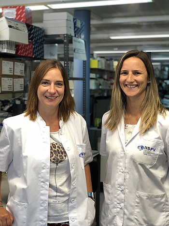 Las investigadoras CIBERDEM-IISPV Sonia Fernández-Veledo (izq.) y Victoria Ceperuelo-Mallafré Fuente: CIBERDEM / Centro de Investigación Biomédica en Red (CIBER) / IISPV 