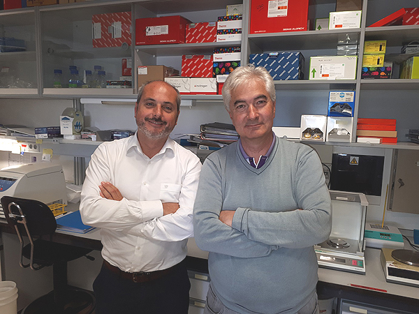 Alberto Ocaña y Atanasio Pandiella, investigadores del CIBERONC y coordinadores del estudio Fuente: CIBERONC / Centro de Investigación Biomédica en Red (CIBER) 