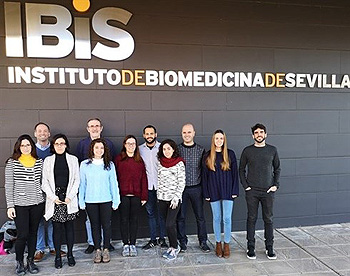 Grupo del CIBERONC en el IBIS coordinado por Amancio Carnero Fuente: CIBERONC / Centro de Investigación Biomédica en Red (CIBER) 