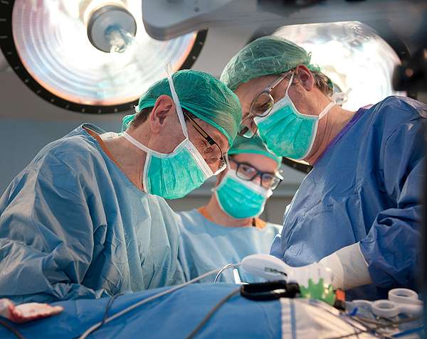 Vista de un trasplante renal Fuente: Hospital Universitario de Bellvitge (HUB) 