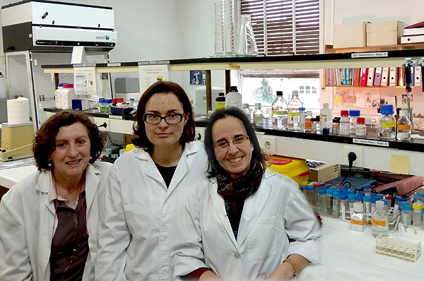 (de izq. a dcha): las investigadoras Elvira Álvarez, Verónica Hurtado-Carneiro y Carmen Sanz  Fuente: CIBERDEM / Centro de Investigación Biomédica en Red (CIBER)     