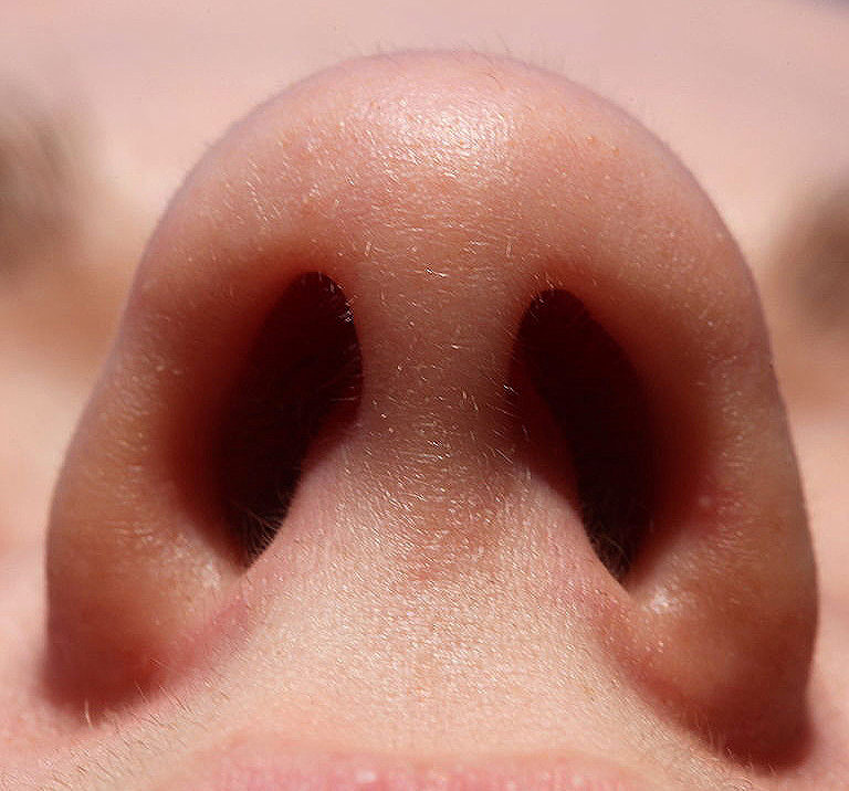 (portada2) nariz nasal