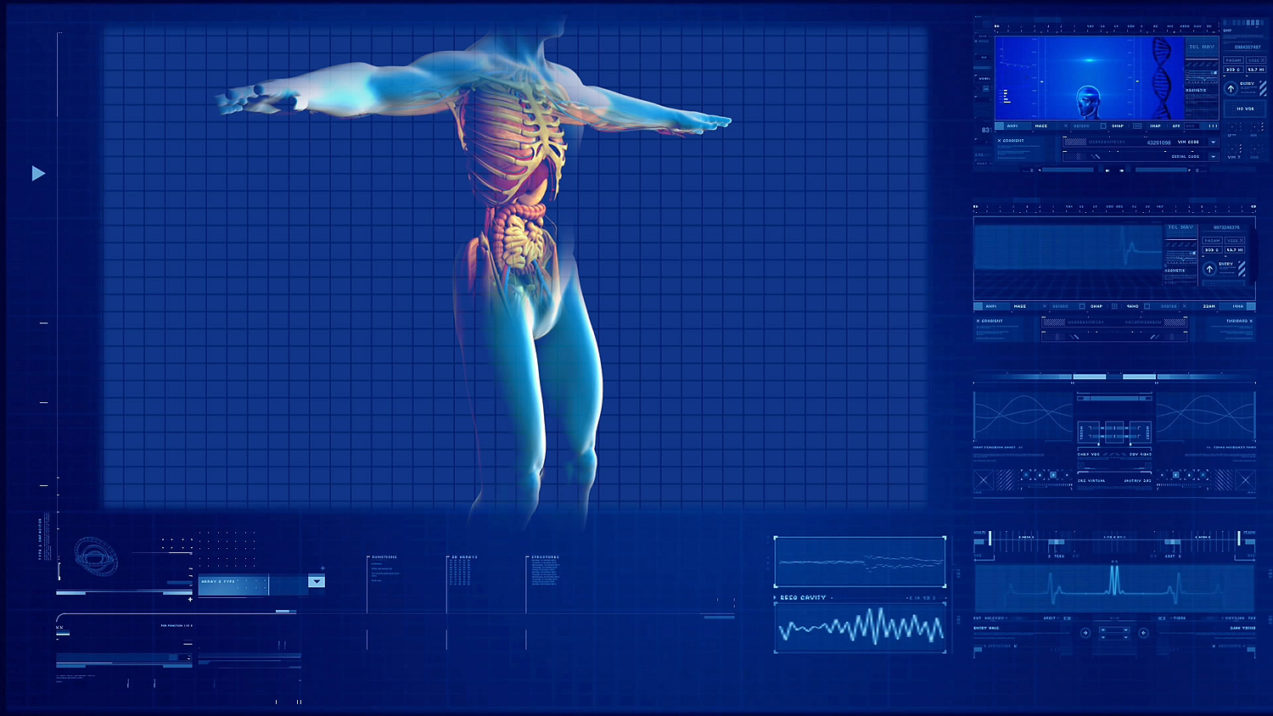 Cuerpo humano con los órganos internos recurso organismo anatomía