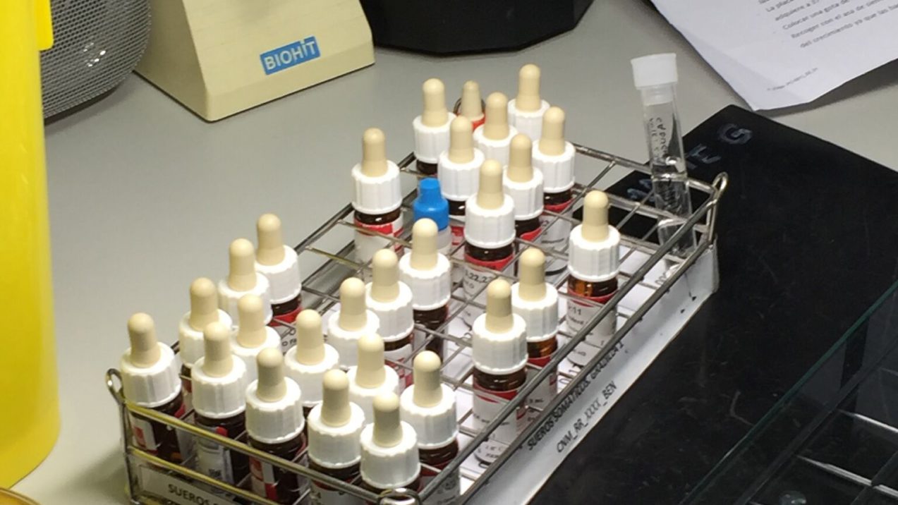 Muestras laboratorio2 esterilizadas recurso laboratorio investigación