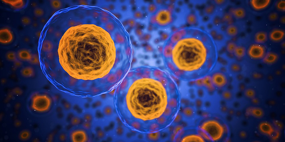 portada) célula células celular biología naturaleza microscópica -  Farmacosalud