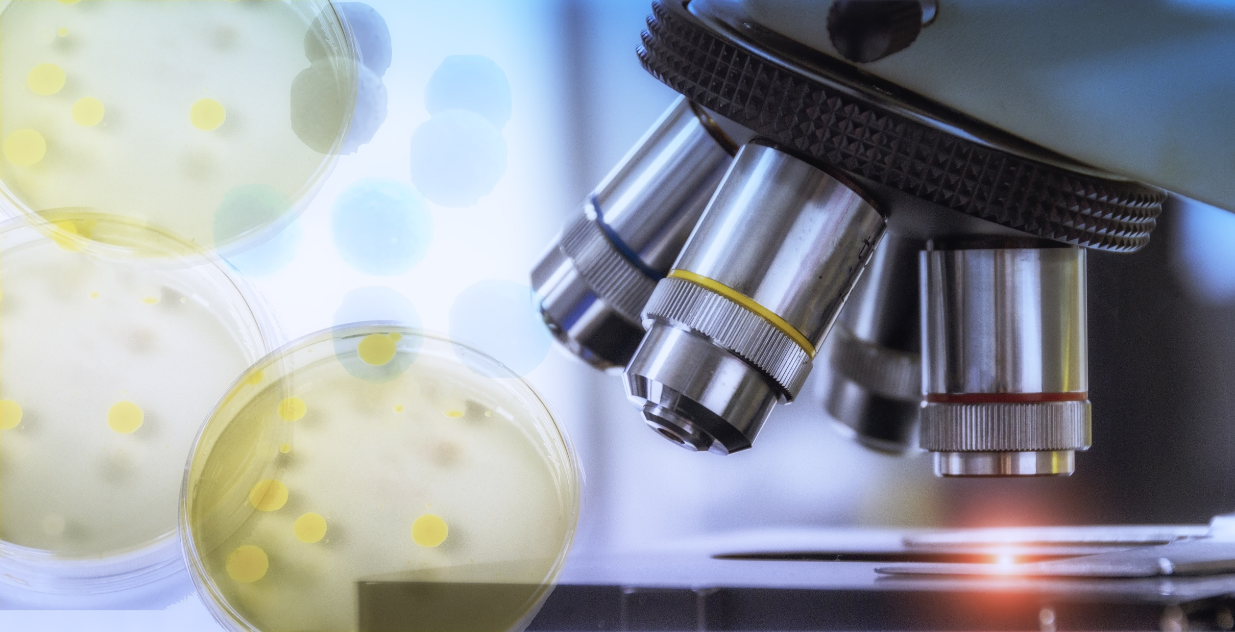 microscope testing in laboratory Farmacosalud