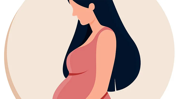 (portada) z19 embarazo gestación embarazada dibujo