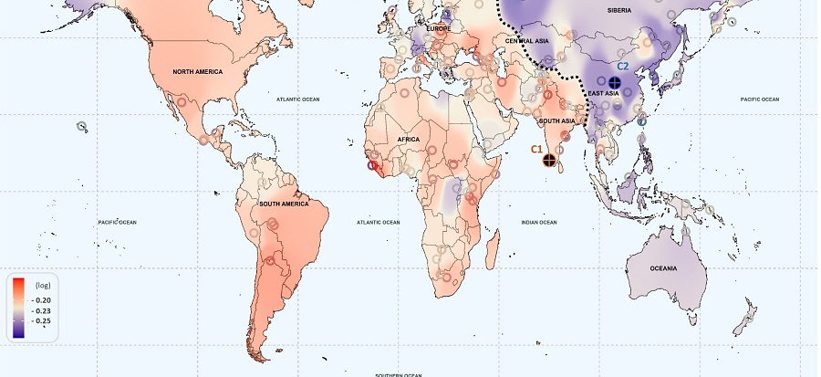 (portada) mapa mundial toxicidad farmacológica por población genética