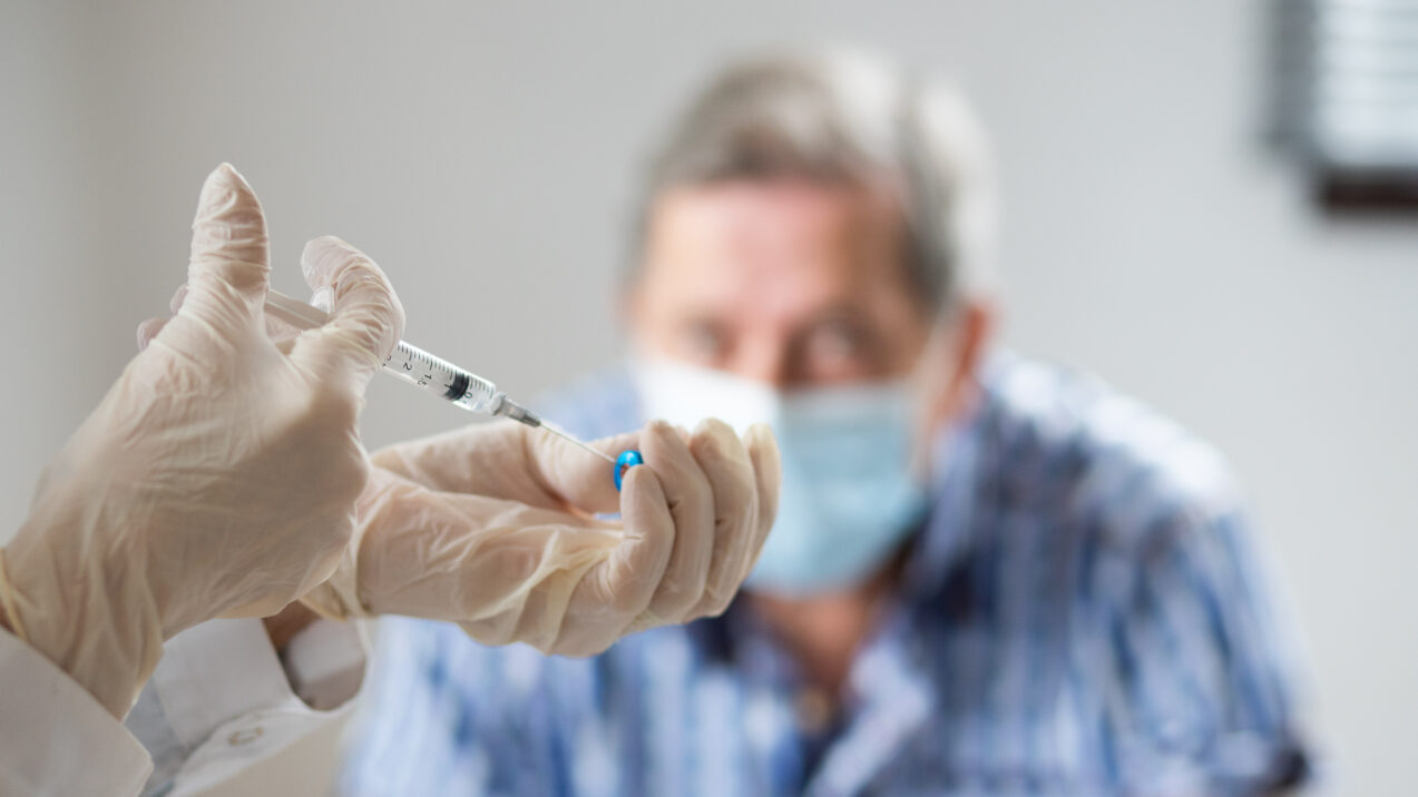 El temperamento del perro, factor crucial para que su compañía mejore el estado del paciente con dolor crónico