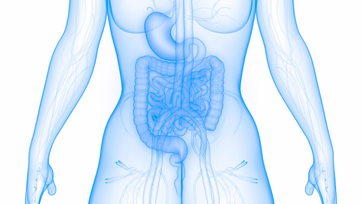 cutáneo piel e intestinal intestino tono zul
