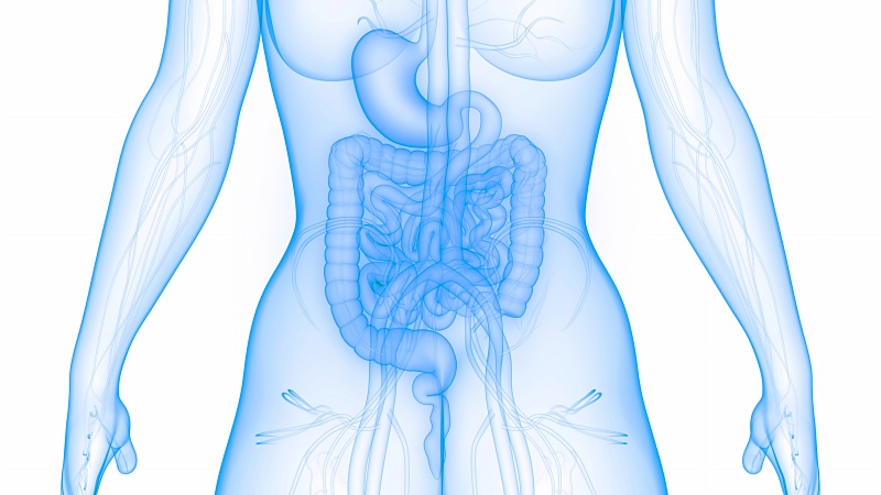 (portada) cutáneo piel e intestinal intestino tono zul