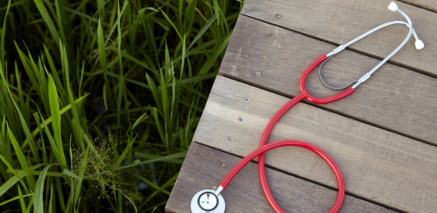 (portada) simbolismo medicina rural médico campo agrario forestal montaña estetoscopio naturaleza