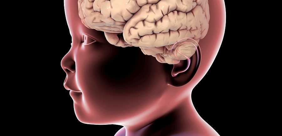 (portada) neurona neuronal cerebro cerebral niño infancia pediátrico pediatría