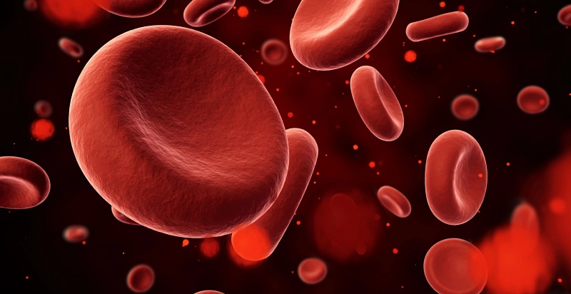 (portada) sangre sanguíneo glóbulos rojos redondos simbolismo circulación plasma