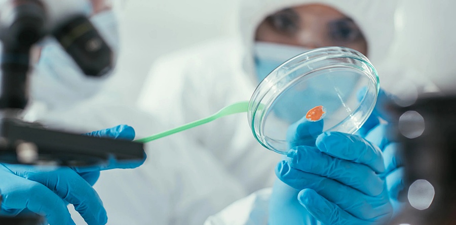 (portada) laboratorio6 laboratorio bioquímico espátula placa petri infección
