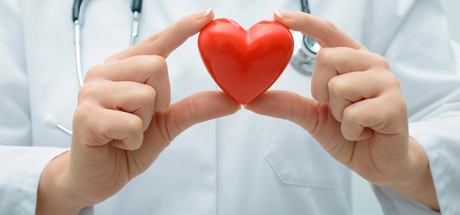 (portada) corazón coronario cardíaco cardiaco cardiovascular médico manos