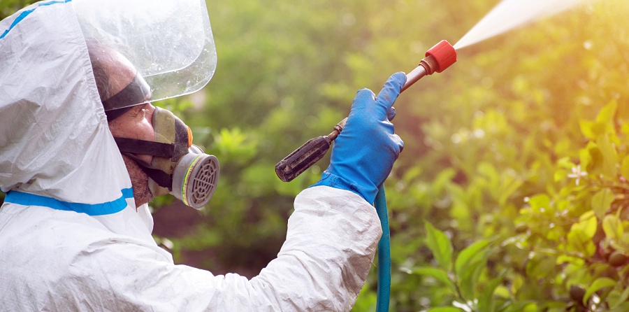 (portada) fumigar fumigación desinfectar desinfección prevención preventivo prevenir