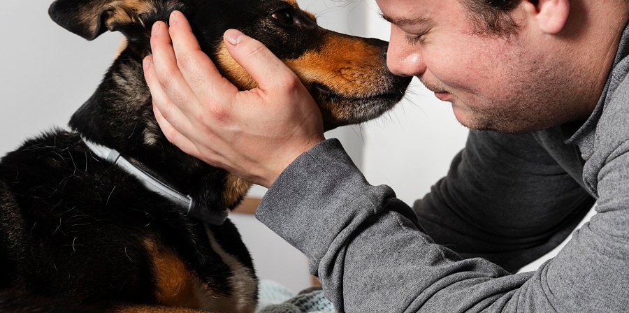 (portada) Hombre junto a perro